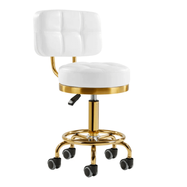 Kosmetologinė kėdė „Gold AM-830”