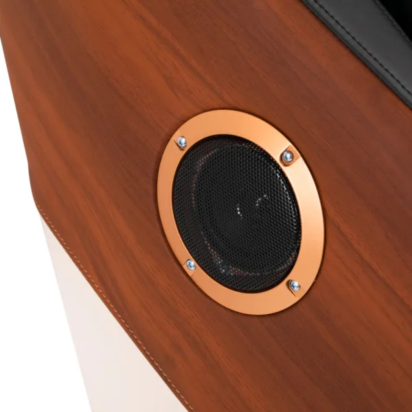 Masažinė kėdė „Sakura”