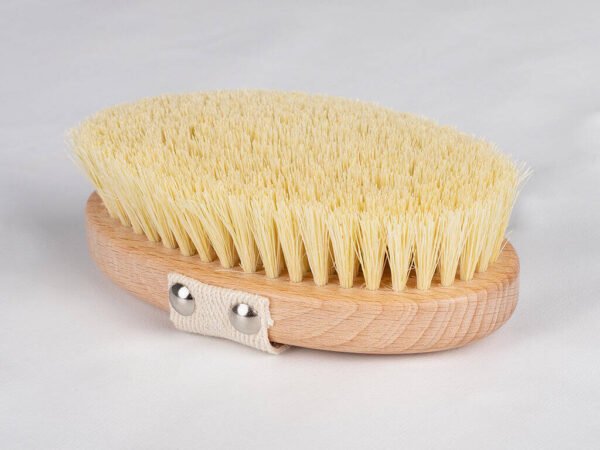 Sauso masažo šepetys