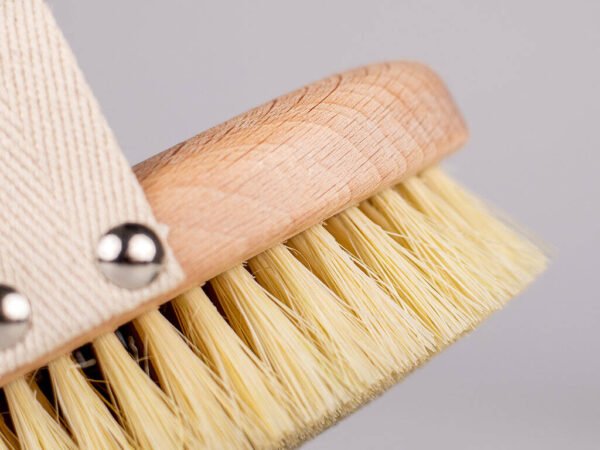 Sauso masažo šepetys