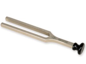 Neurologinis kamertonas