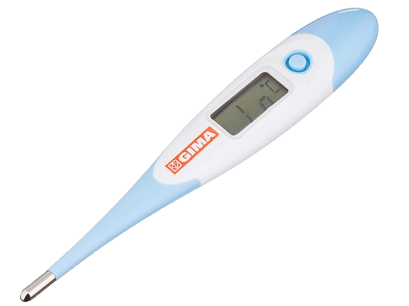 Termometras „Jumbo 2” lanksčiu galiuku